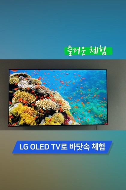 LG OLED TV로 즐거운 여행