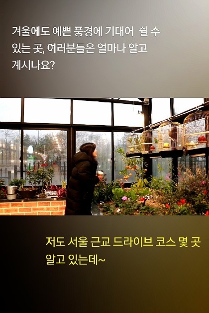 서울 근교 드라이브 코스 달달한 양평 더그림