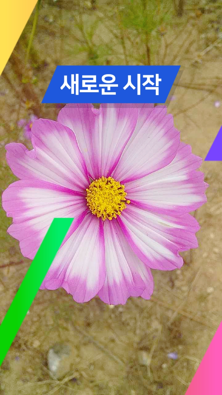 연세글로벌행정사사무소 이미지
