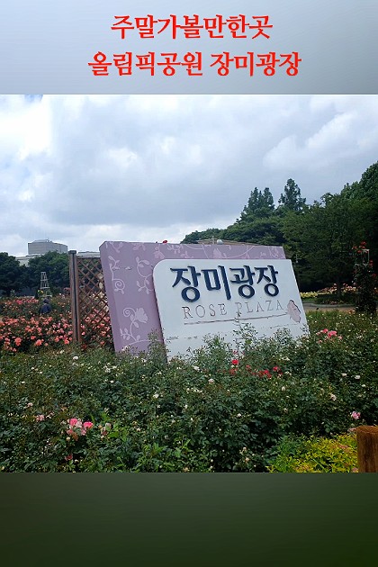 서울가볼만한곳 올림픽공원 장미광장 /들꽃마루