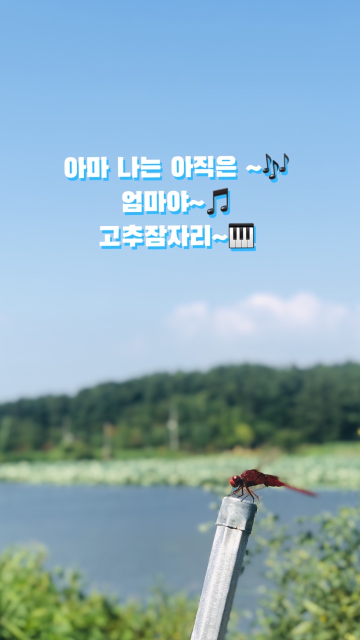 하담스파펜션 이미지