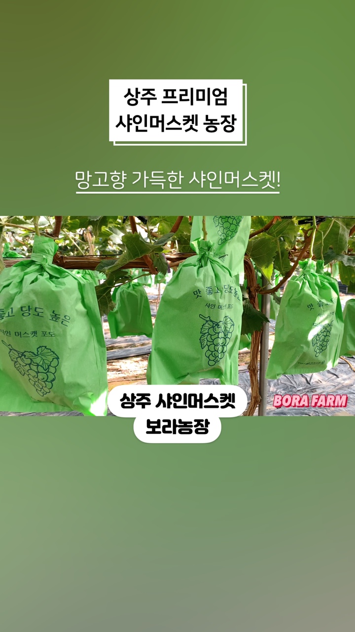 상주행복농장 이미지