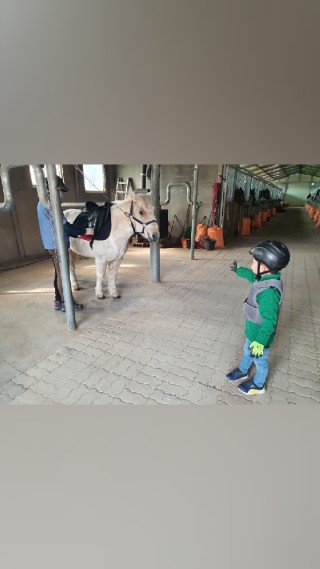 오로라승마장 이미지