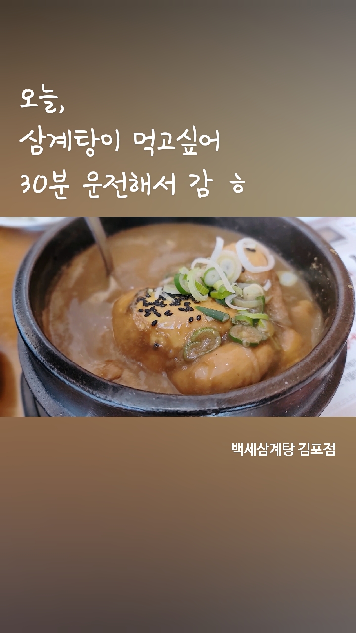 백세투어 이미지