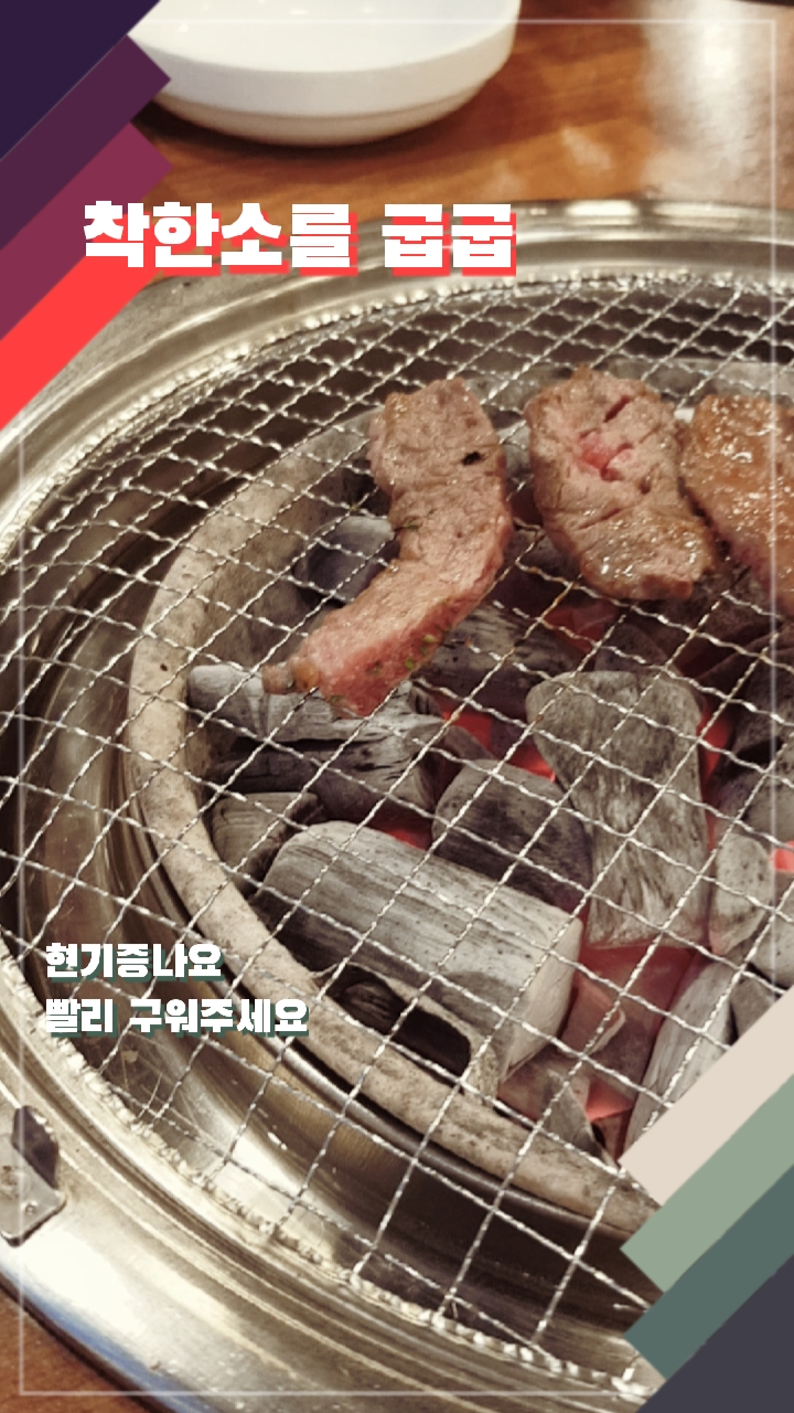 착한소 이미지