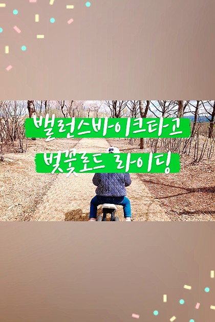 밸런스바이크 타고 벚꽃로드 라이딩