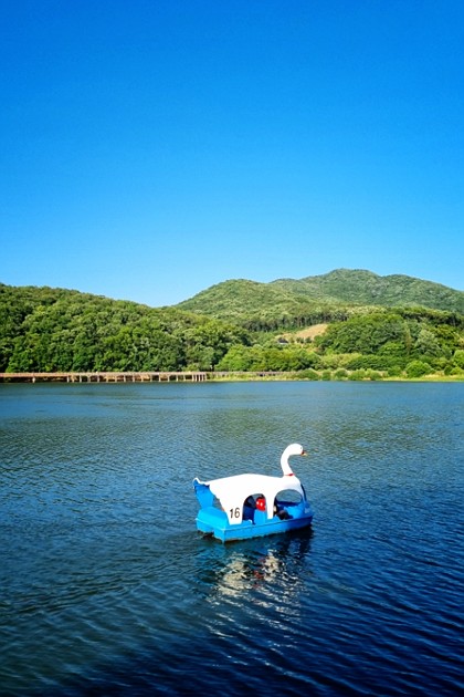 푸른 하늘과 호수를 보며 걸어요^^
#지금여기 #백운호수
