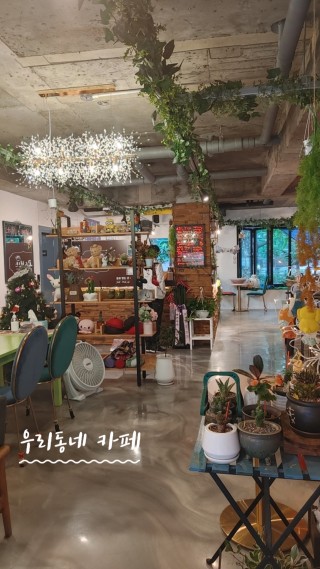 콩스빈스 이미지