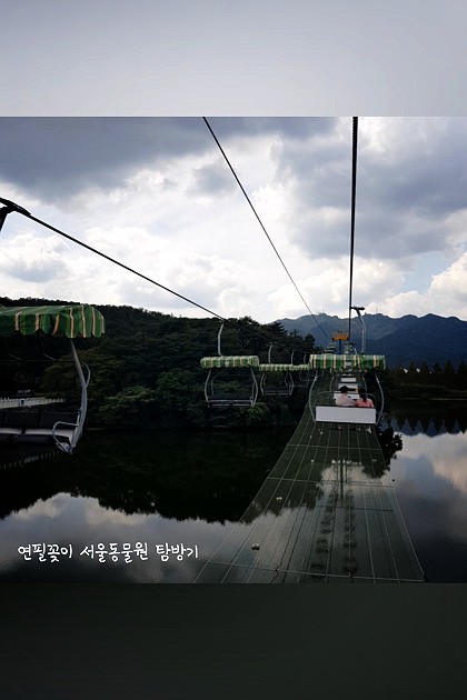 사자와 호랑이도 보고 9km 걷고, 좋아.
#서울동물원 #평일동물원풍경#리프트#연필꽂이탐방기