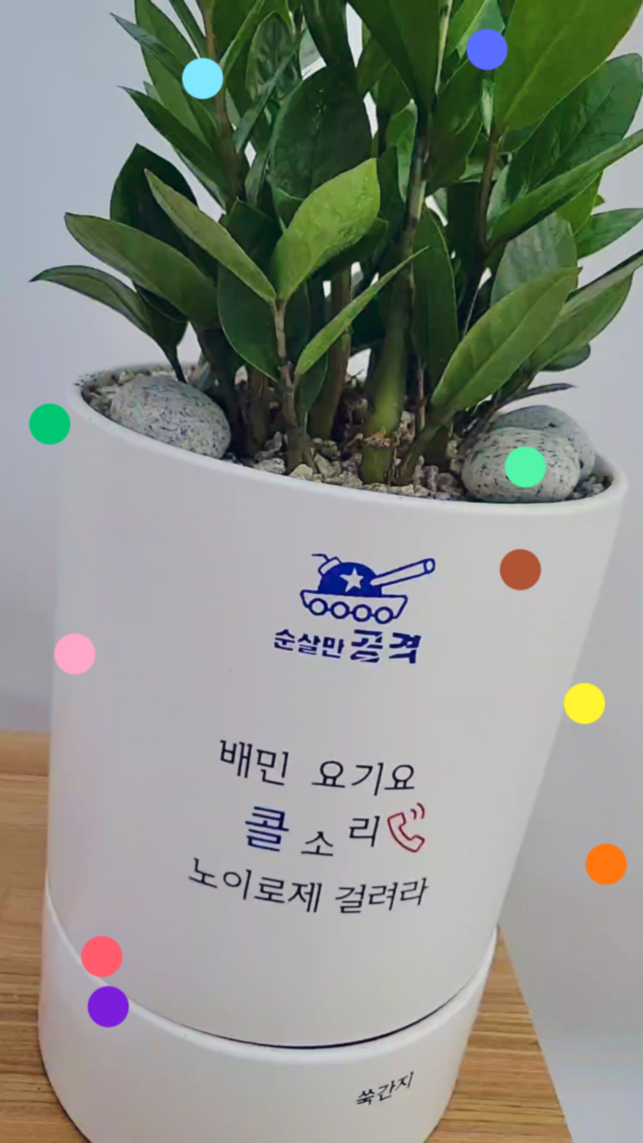 채움한방병원 이미지