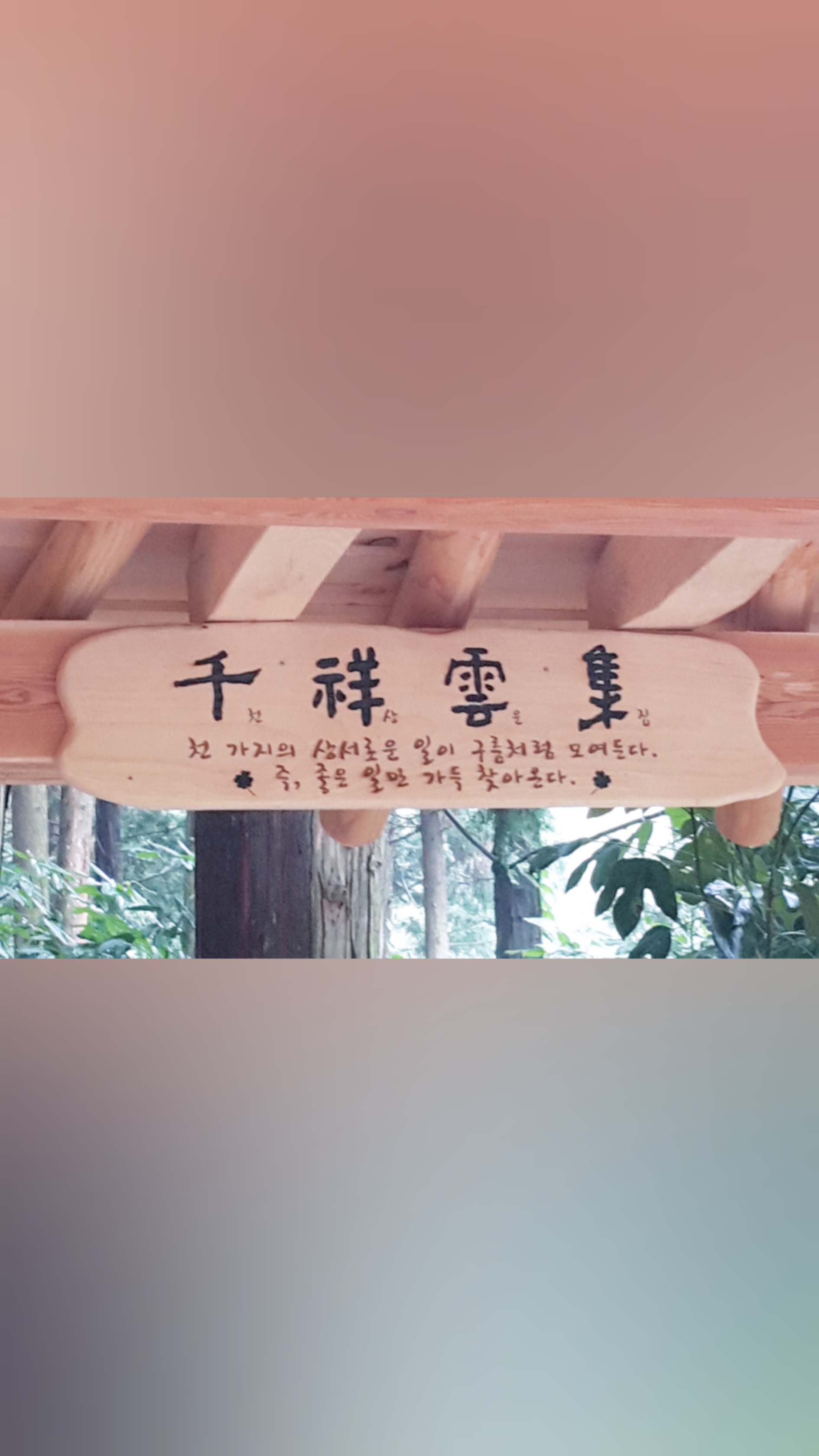 웜드 이미지