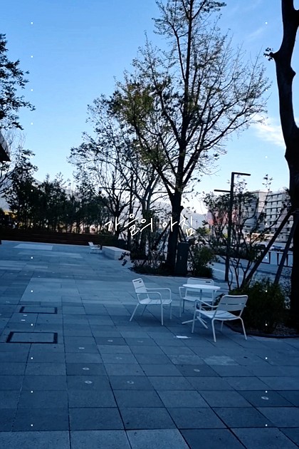 서울에도 이런  곳이 생겼다
광화문광장 잘 생겼다
#광화문광장 #광화문 #가을 #아침 #일상