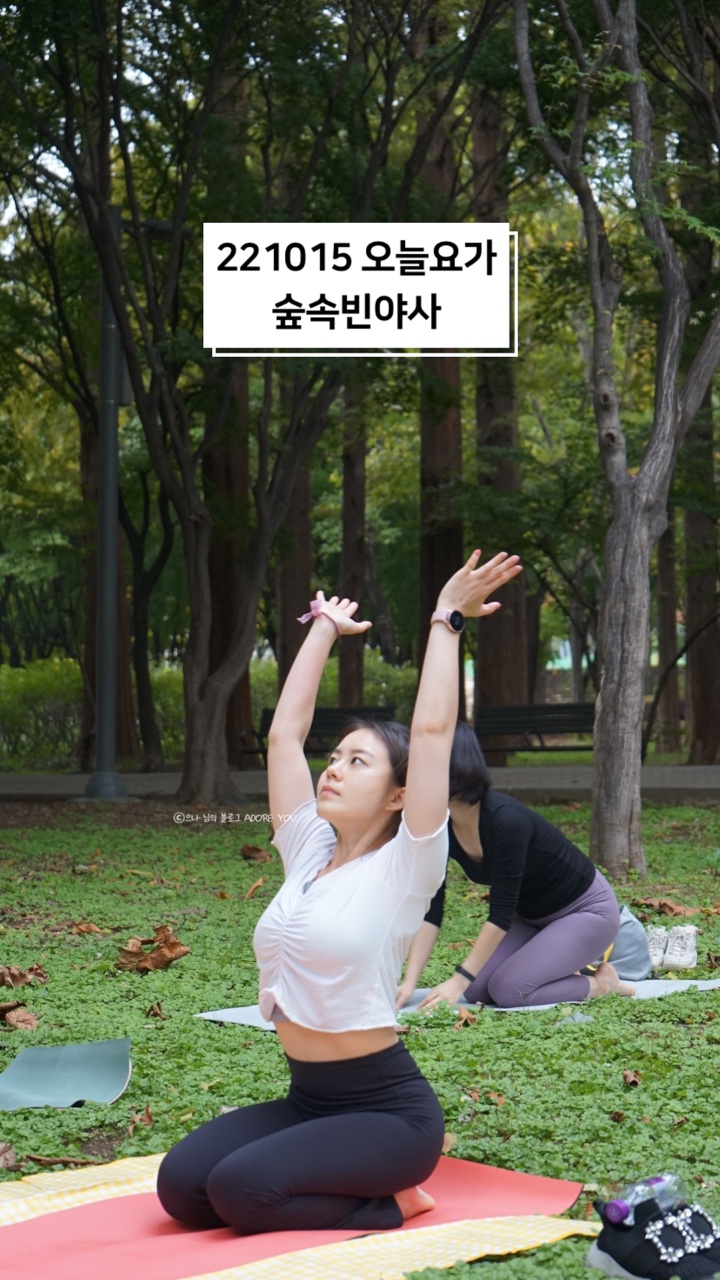 헬로비디야 이미지