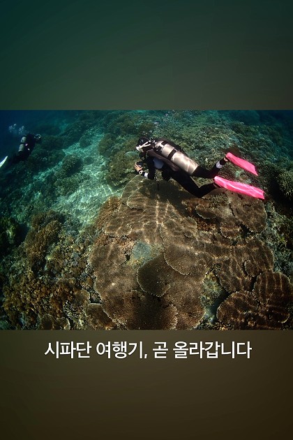 시파단 다이빙 여행기.
한국 가면 차근차근 올릴게요.