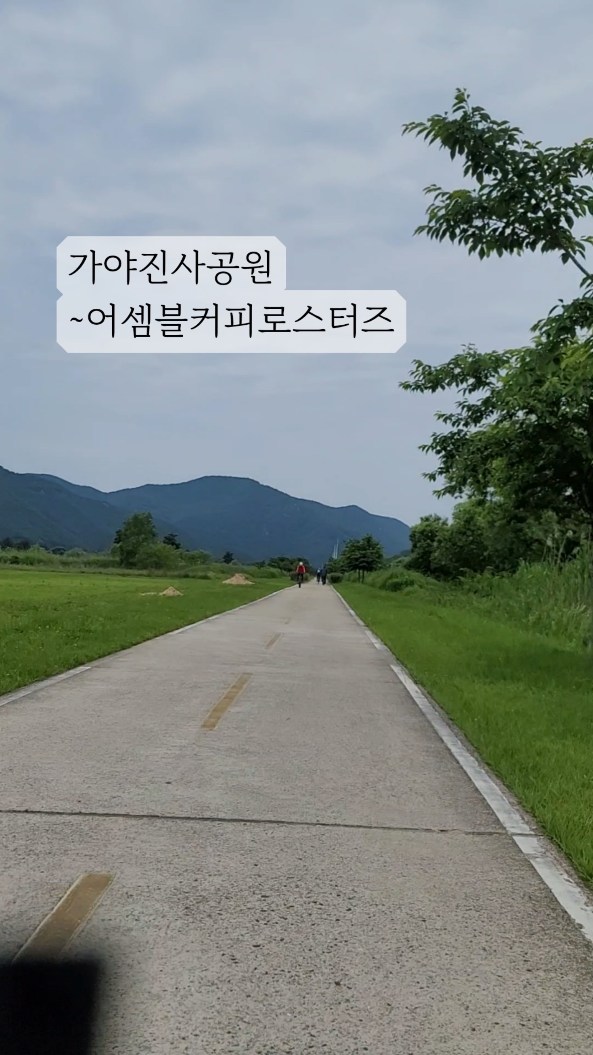 어셈블커피로스터즈 이미지