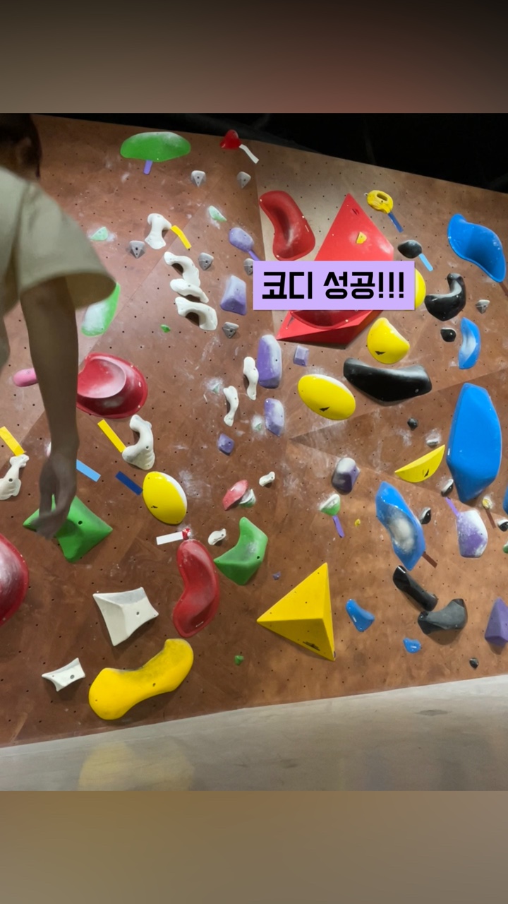 다이노웨이브 이미지