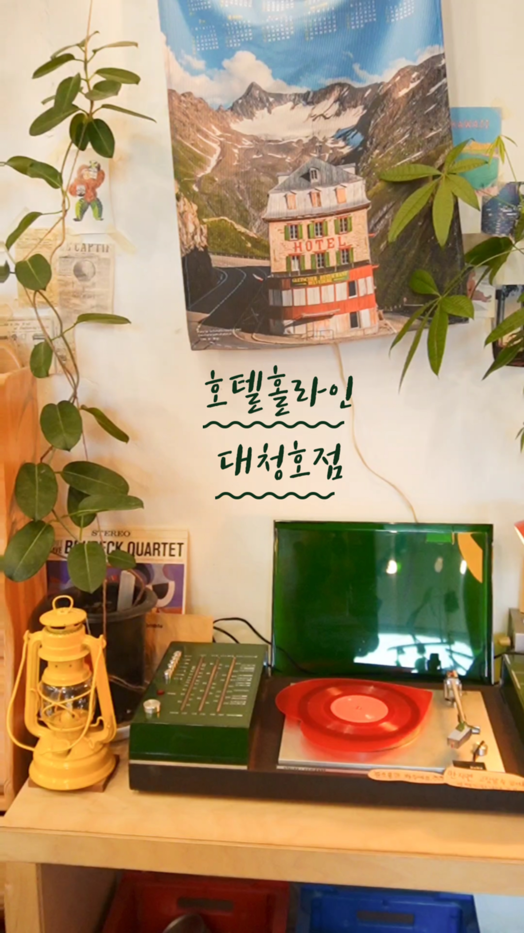 홀라인대청호점 이미지