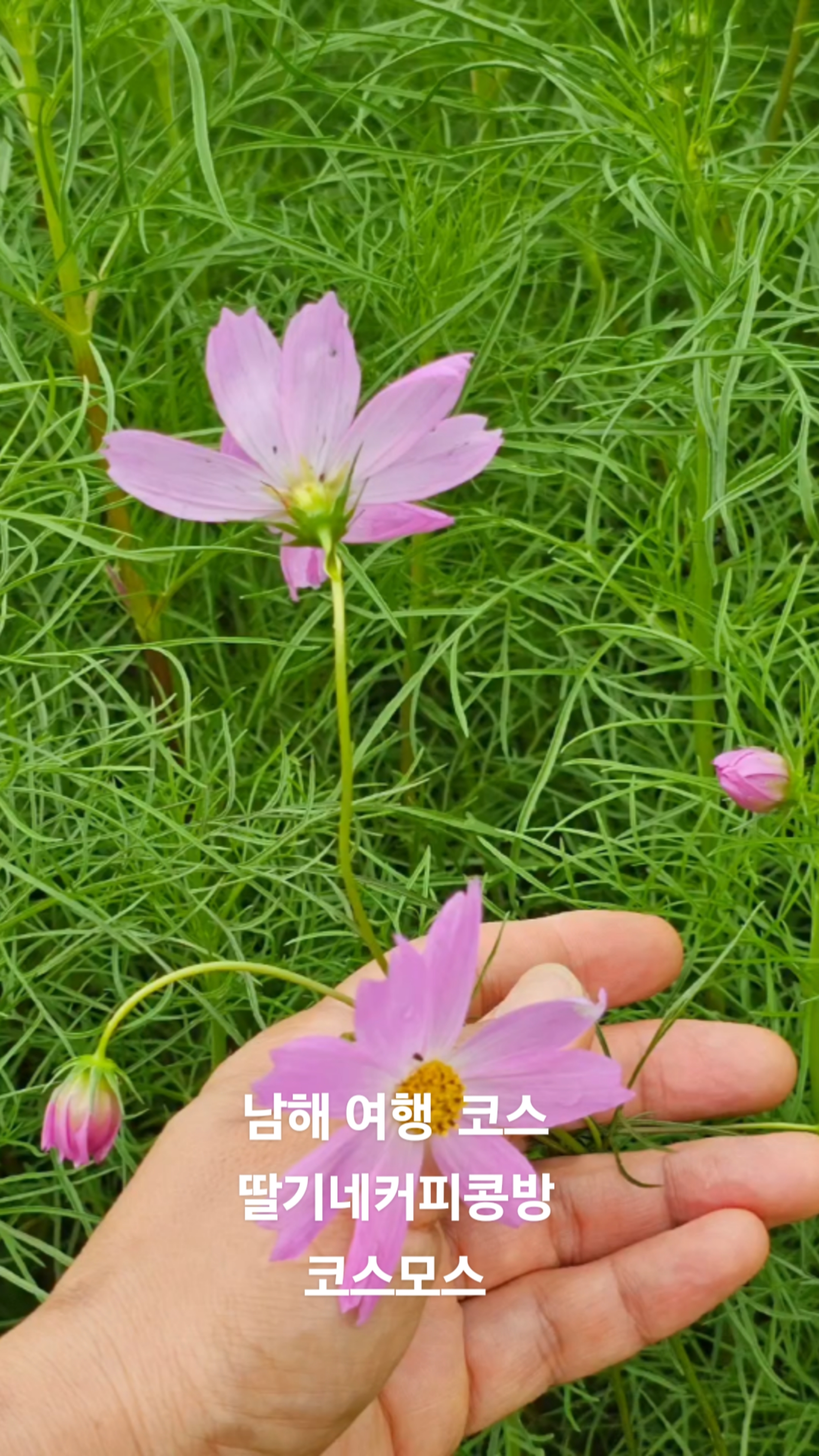 딸기네공방 이미지