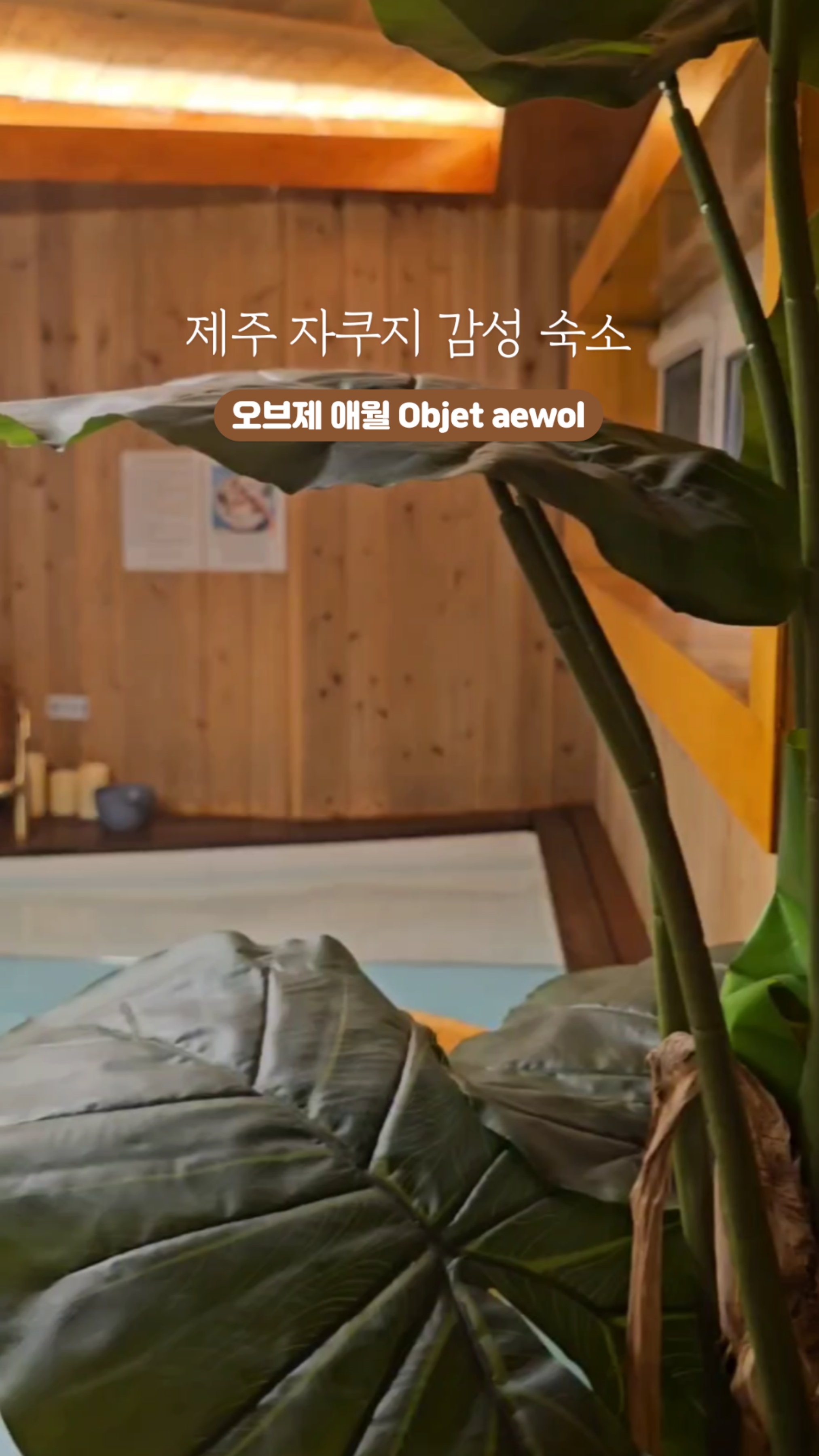 오브제애월 이미지