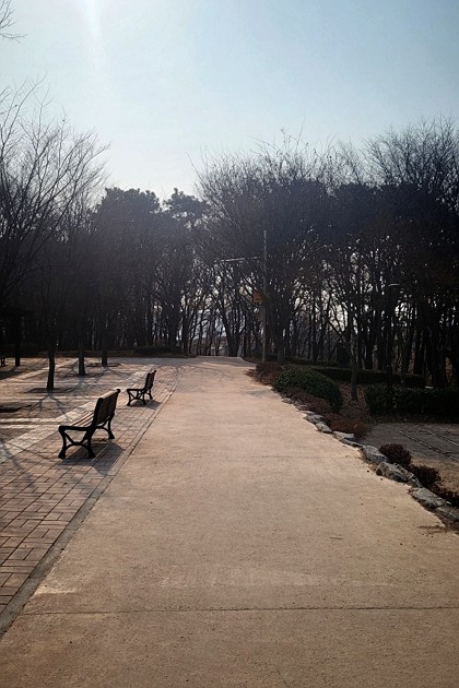 봄이오는 나래공원 산책길에서

#건강챙기기#나래공원#향남나래공원#커피한잔
