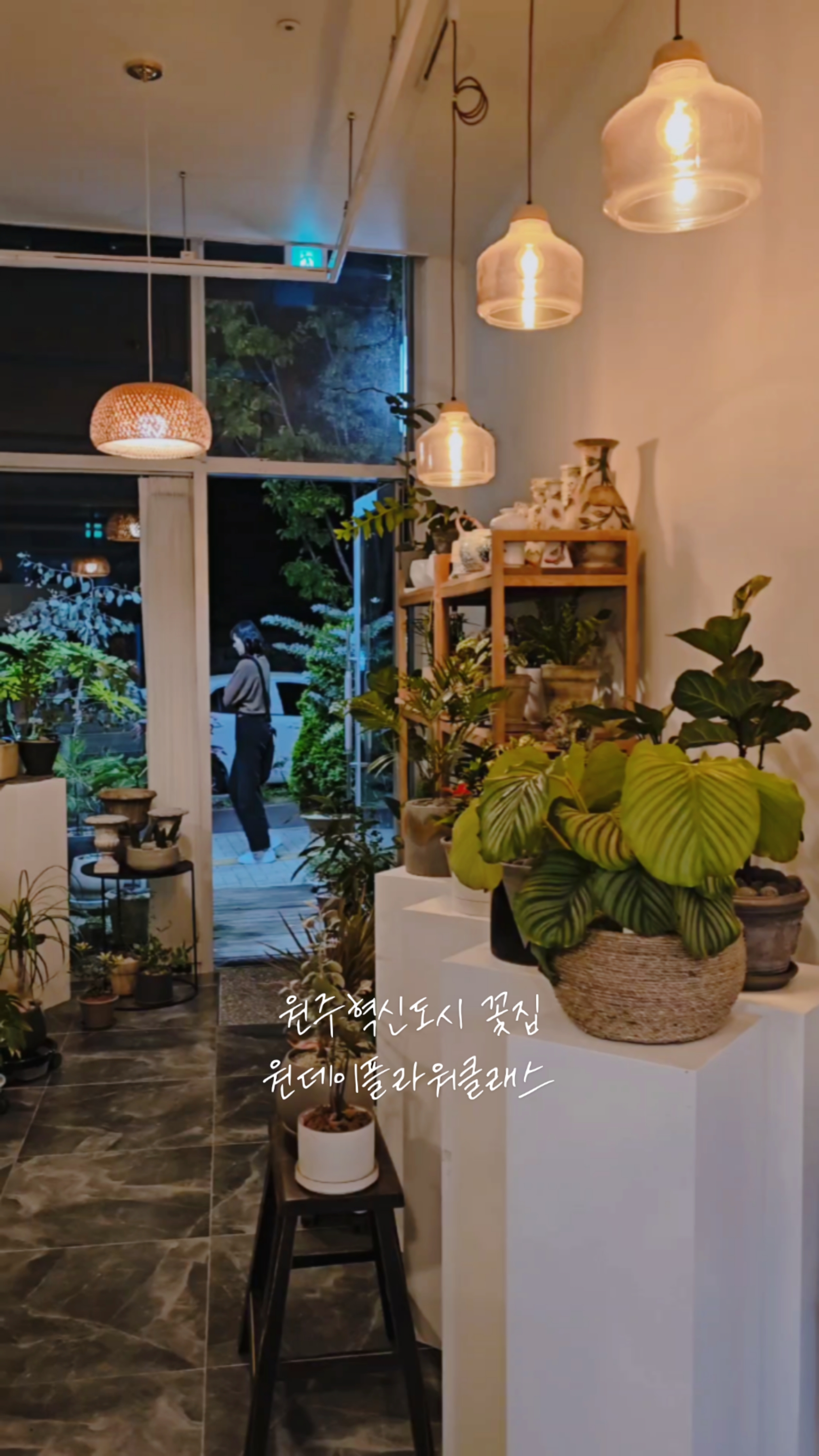 돌앤비 이미지