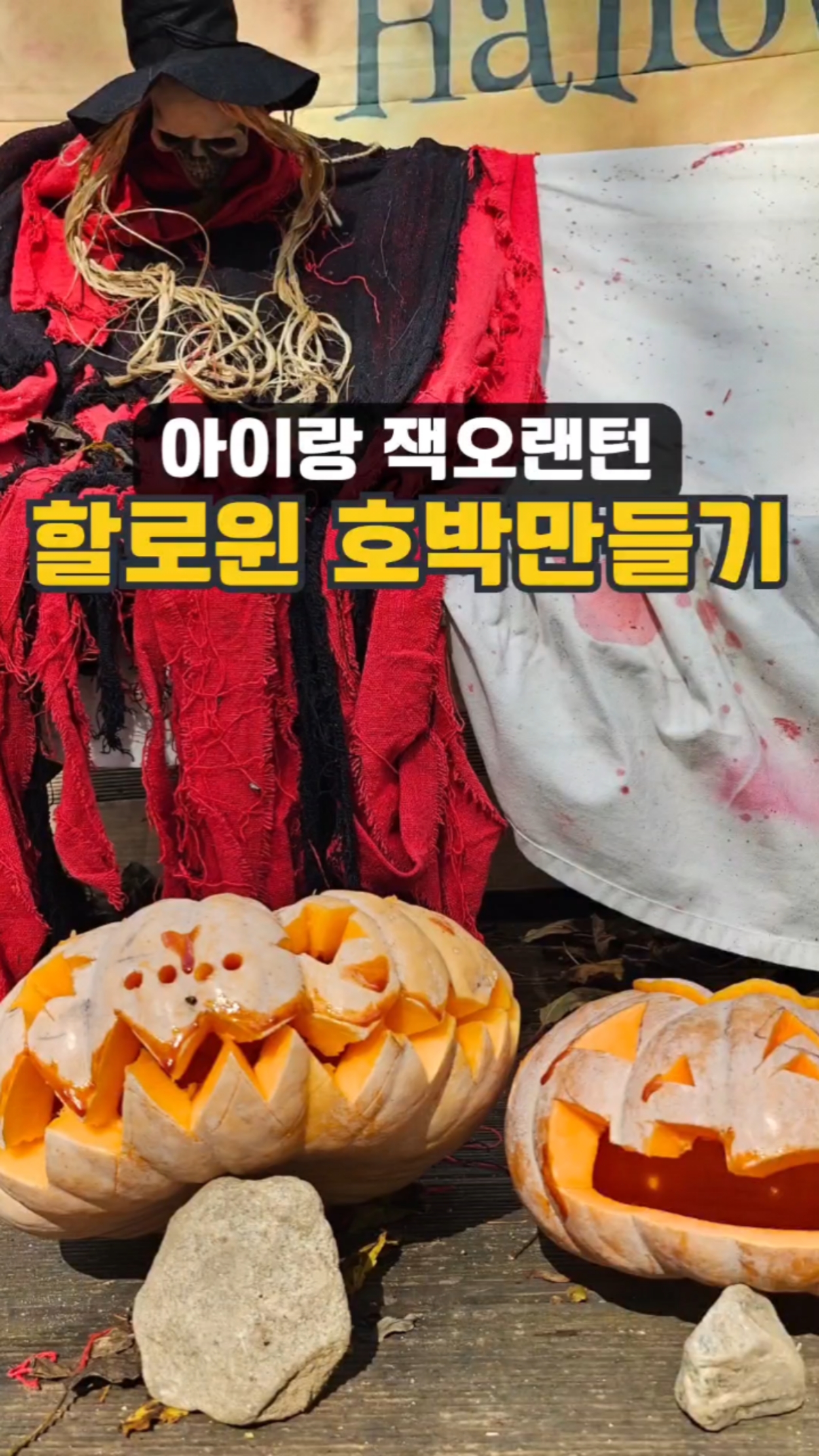 아이랑 할로윈 호박 만들기 (다양한 잭오랜턴 모음) : 네이버 블로그, image size:2025x3600