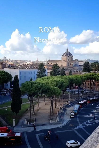 여기는 로마입니다.

저는 무사히 도착해서 잘 먹고 잘 쉬고 하루 종일 원 없이 걷고 다녀요. 다니면서 예뻤던 장소들입니다.

▪️biblio bar roma
▪️campo de fiore
▪️ristorante pizzaria catelo
▪️ponte umbrto

날씨도 너무 좋고, 하늘도 파란 11월의 로마 일상을 보여드릴게요. 다들 즐거운 한 주 시작하세요!!

#일상 #로마 #여행스타그램 