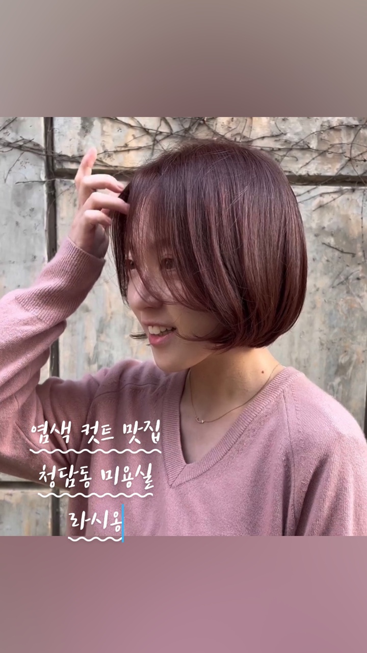 라시옹 이미지