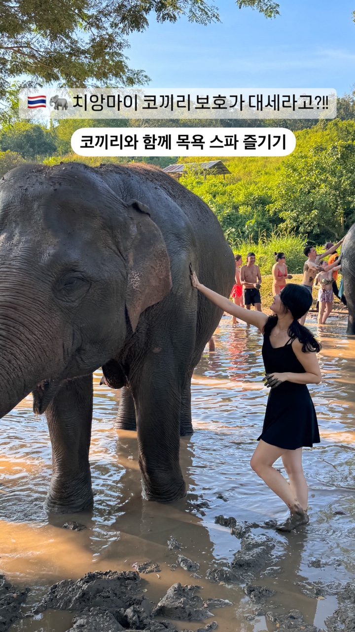 (주)코끼리투어 이미지