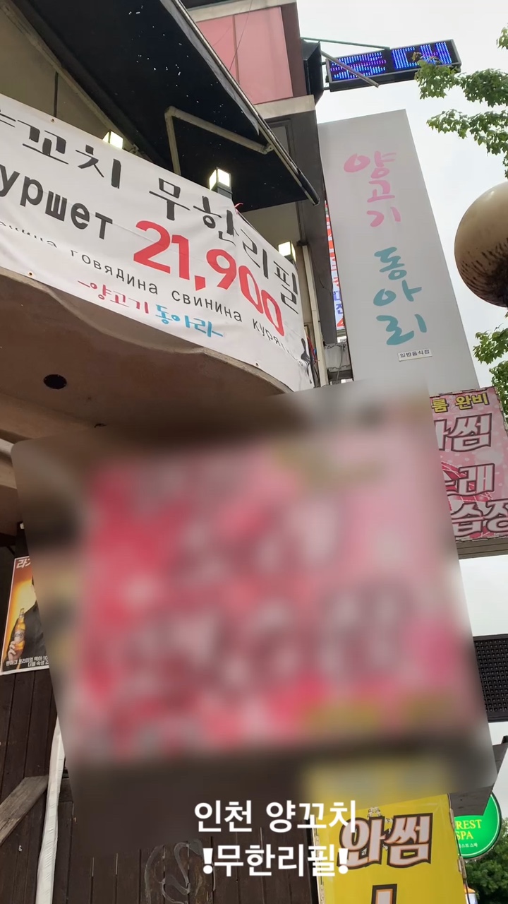 양고기동아리 이미지