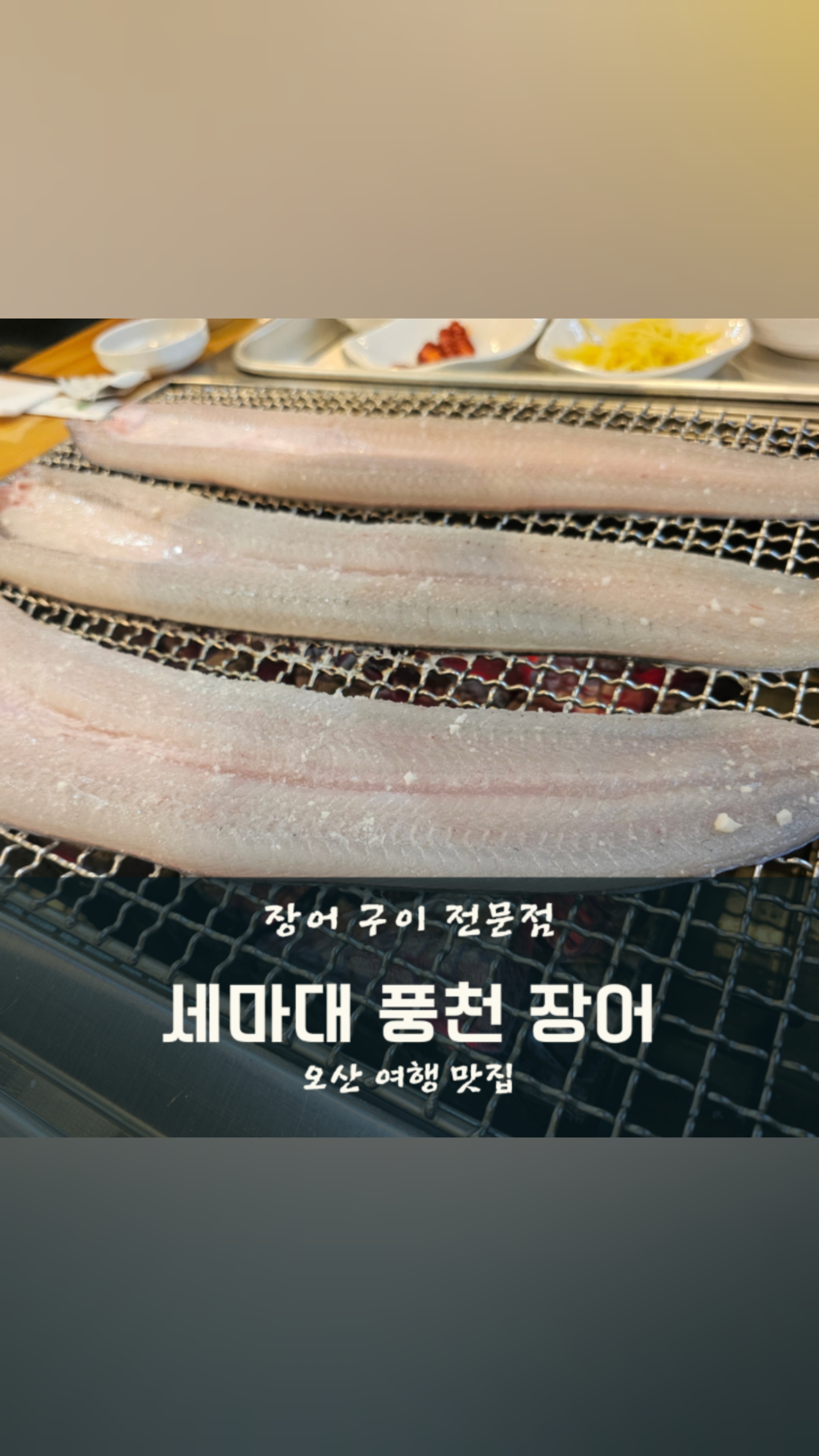 세마대풍천장어 이미지