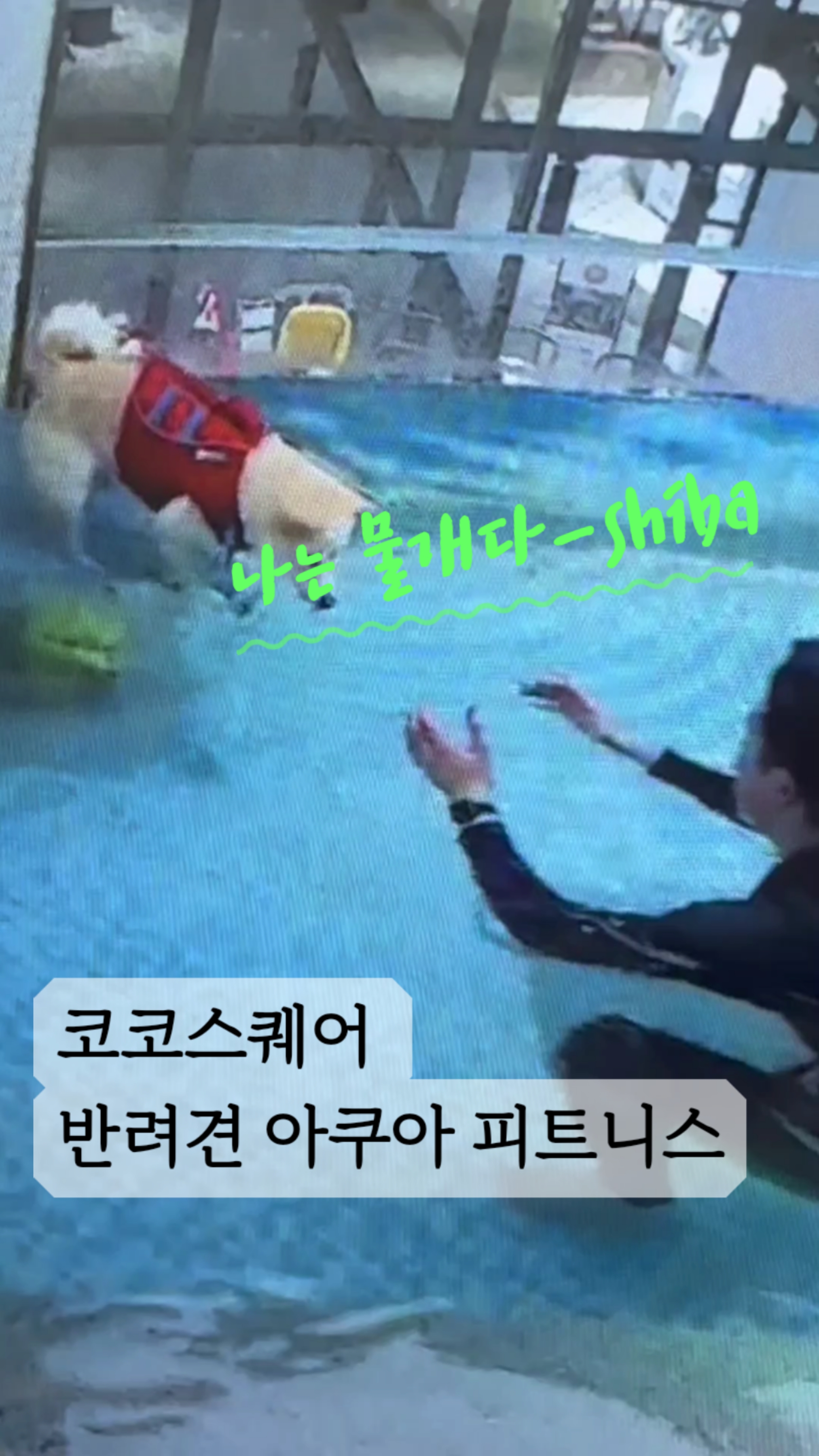 아쿠아짐 이미지