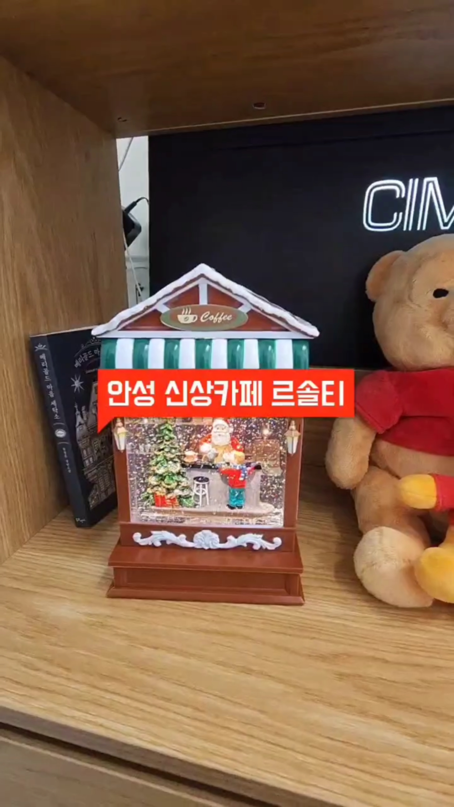 르솔티 이미지