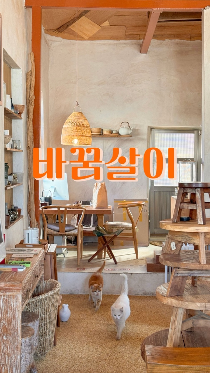 바꿈살이 이미지