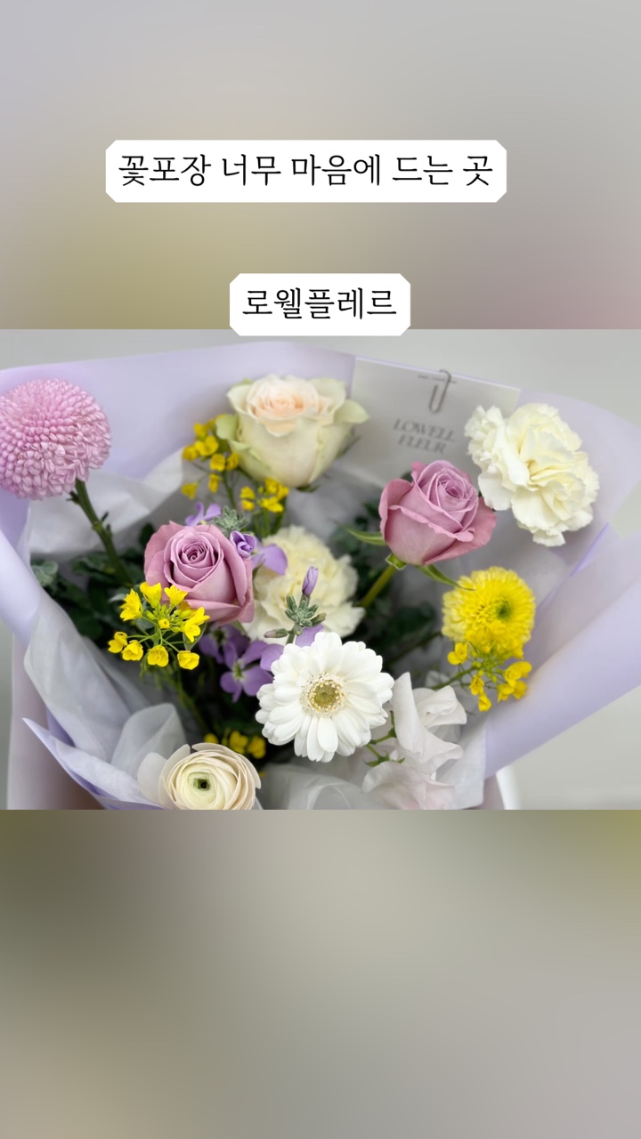 로웰플레르 이미지