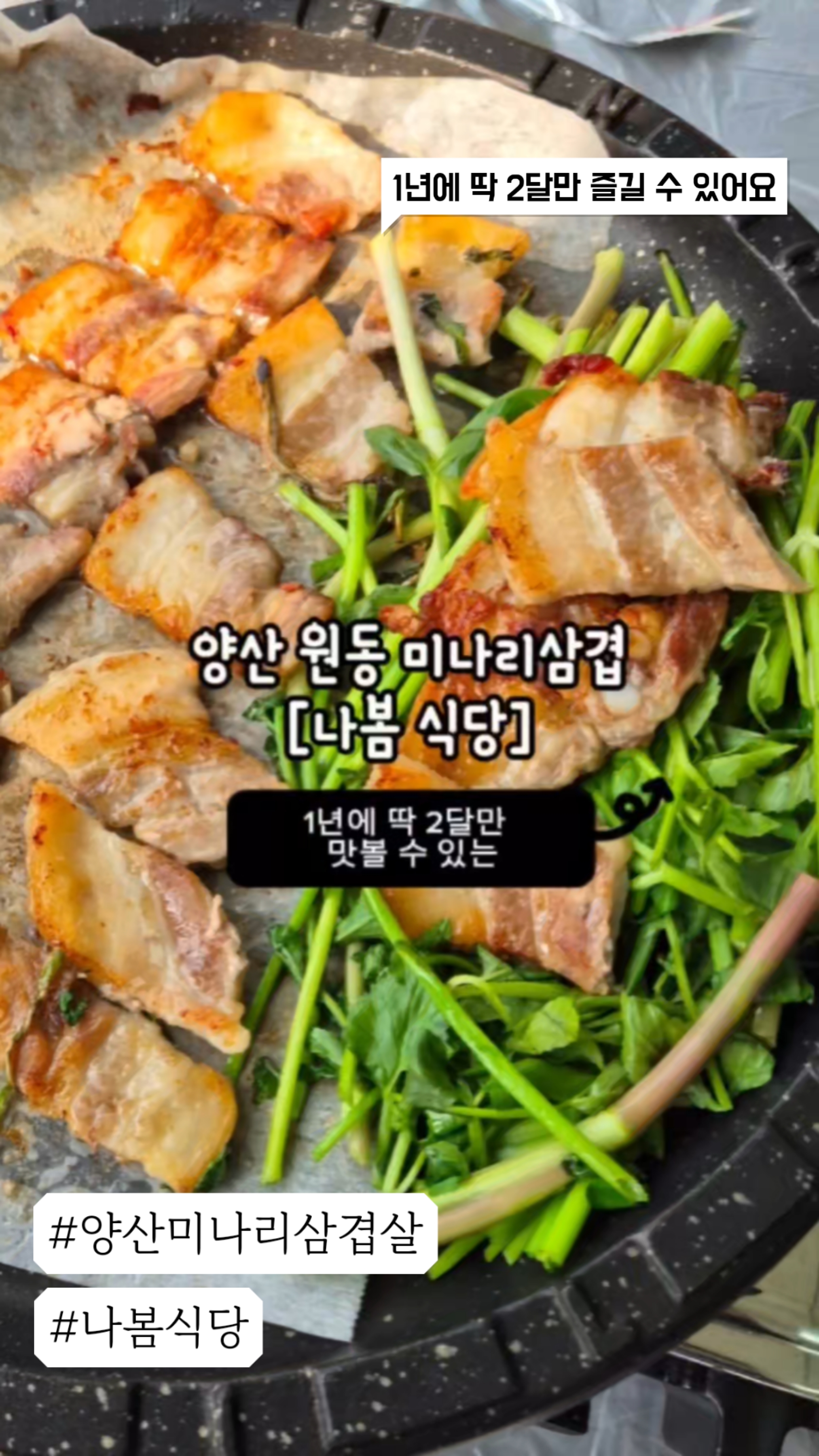 나봄식당 이미지