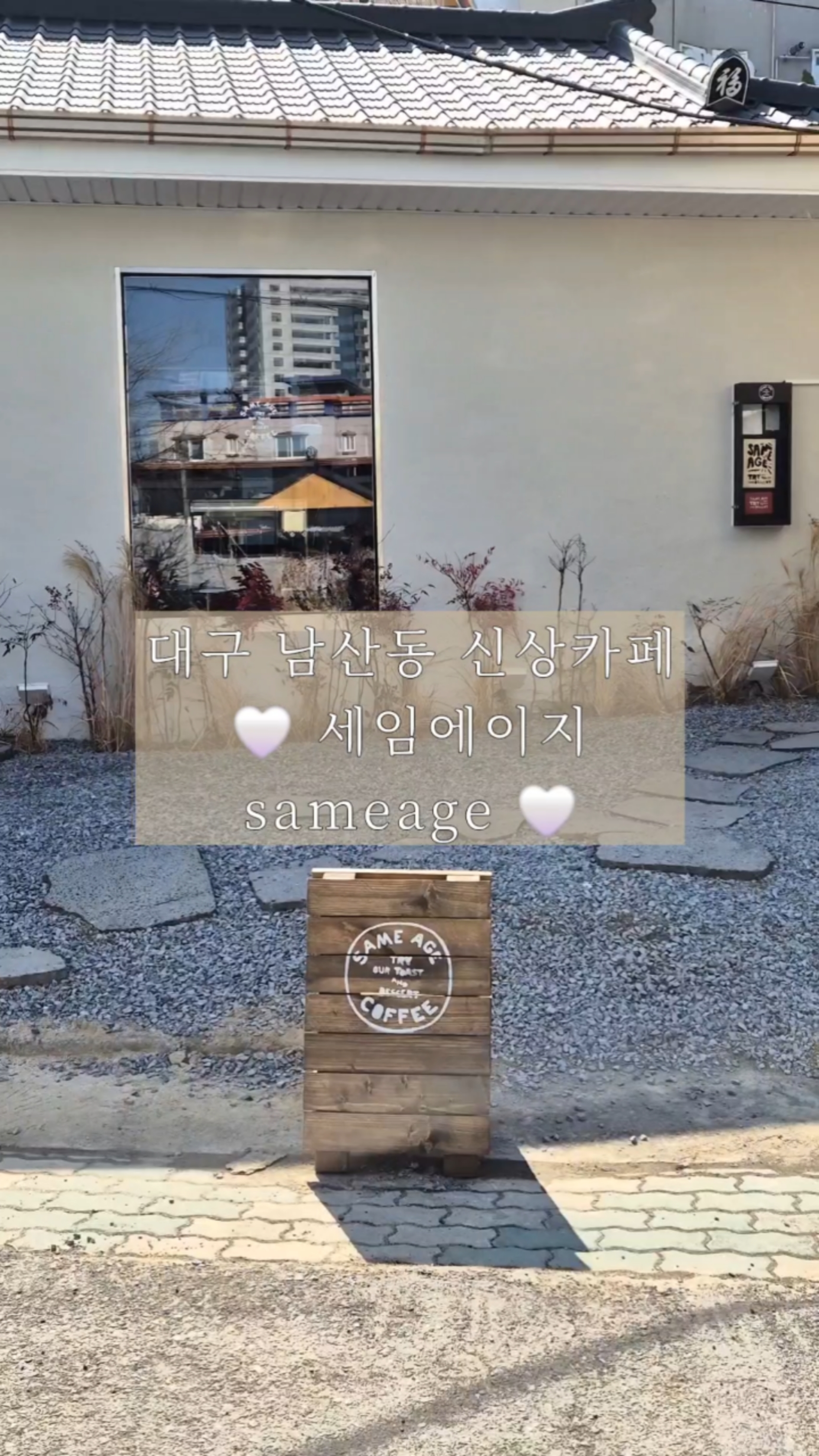 세임에이지 이미지