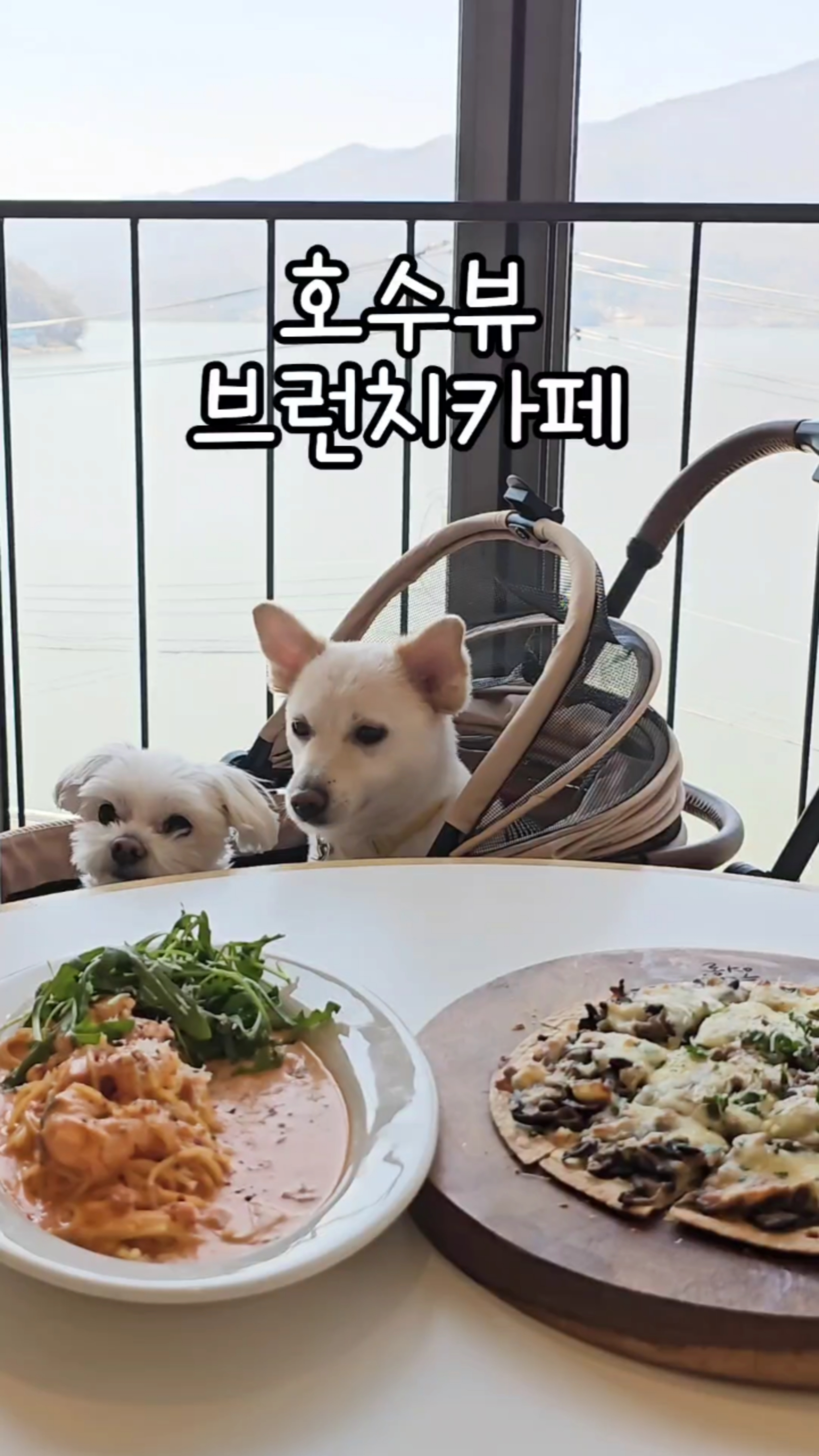 푸르레여울 이미지