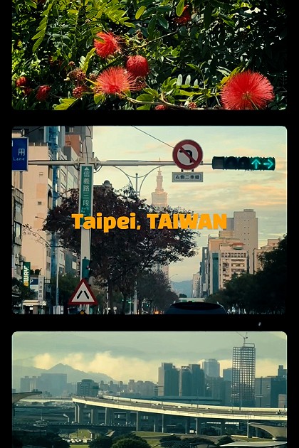 타이페이 명소 모음집 #샹산전망대 #랴오허제야시장 #용산사 #대만브이로그 #대만여행 #대만여행코스 #대만가볼만한곳 #대만야경명소