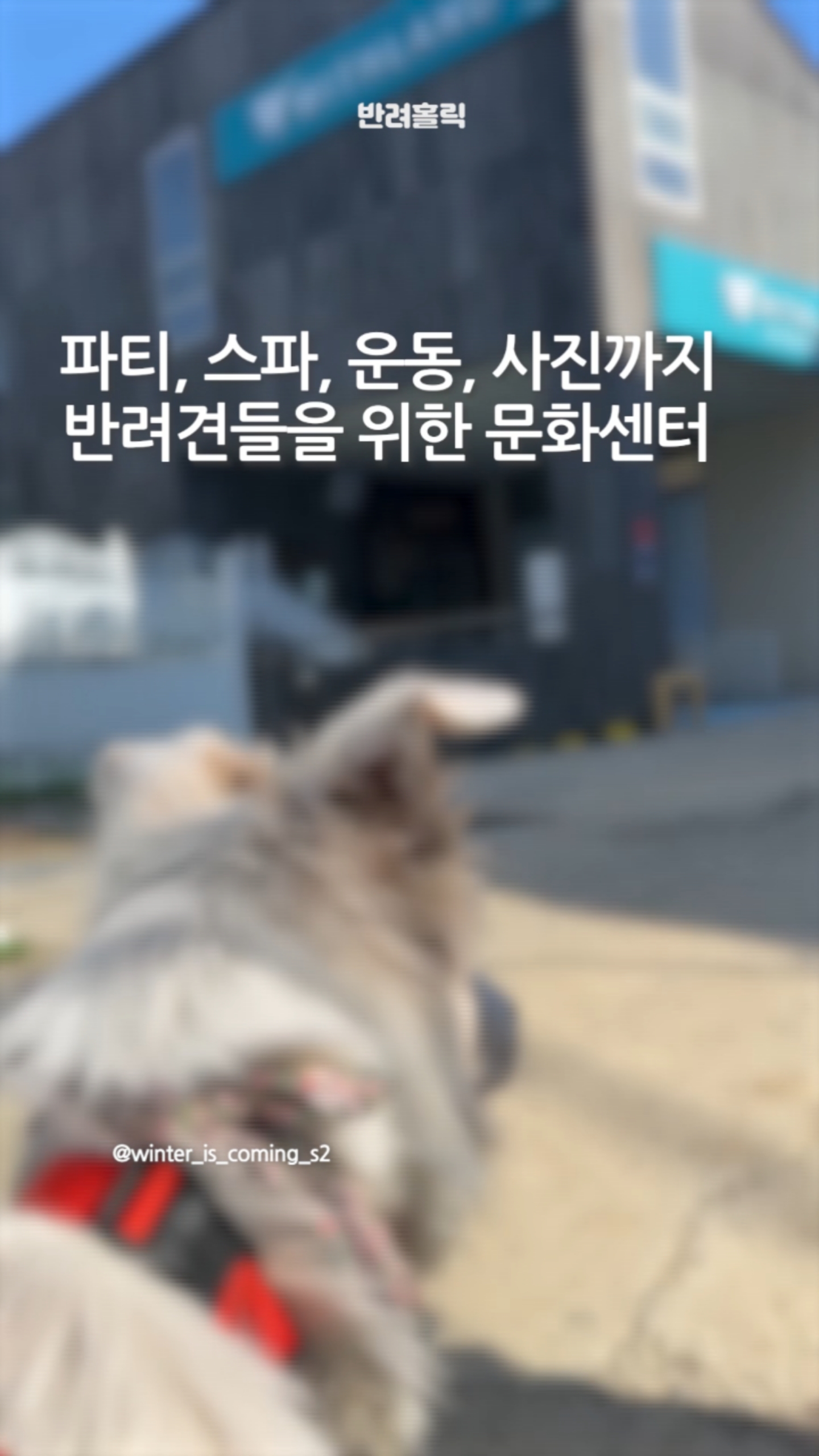 카페위드 이미지